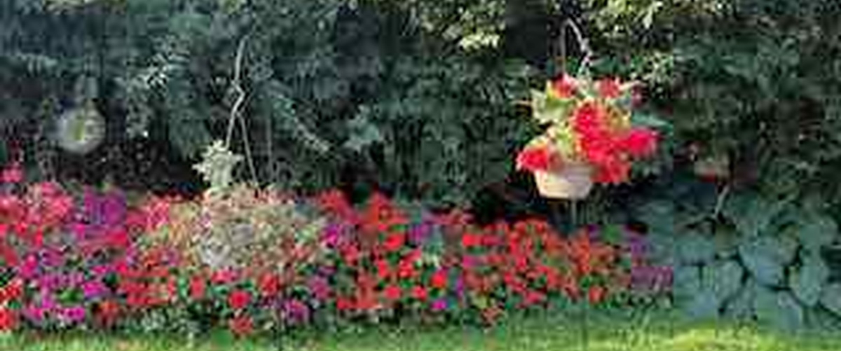 Save the Date! - NEBSA 2026 Annual Conference